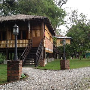 The Roots Eco Resort